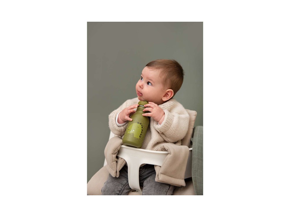 Gourde dinosaure 350ml TRIXIE 2