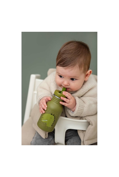 Gourde dinosaure 350ml TRIXIE