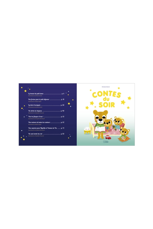 Livre Contes du soir Tome 4 2