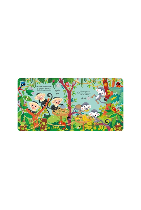 Livre Bruits de zoo