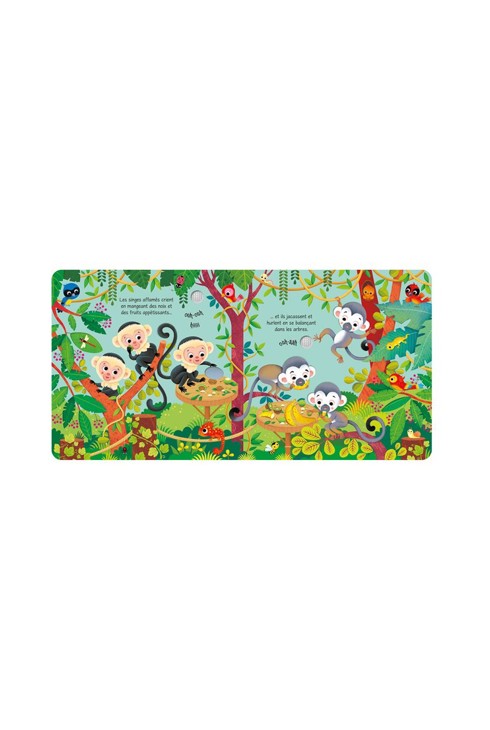 Livre Bruits de zoo