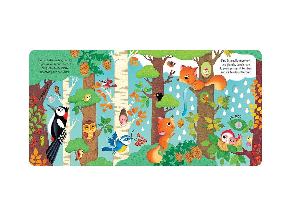 Livre Bruits de la forêt 2