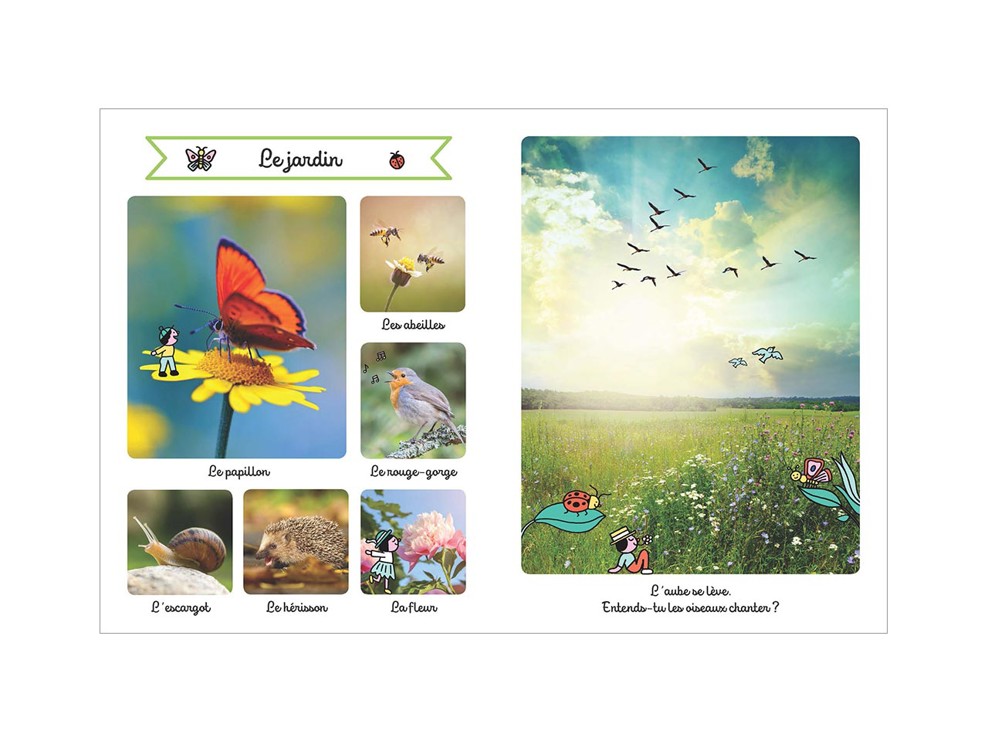 Le grand imagier sonore des animaux 2