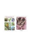 Le grand imagier sonore des animaux 5