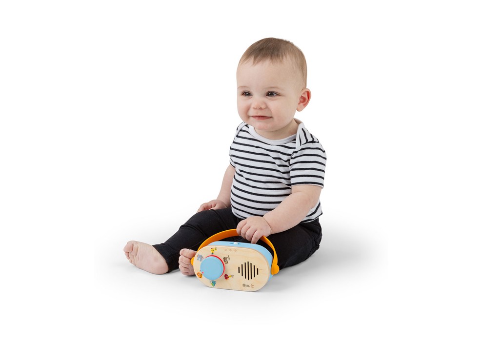 Radio Magic Touch Hape Baby Einstein 2