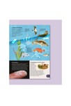 Livre La nouvelle encyclopédie ned 4