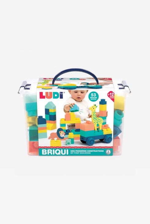 Baril BRIQUI 53 briques avec 1 véhicule et 2 animaux en mousse Ludi 1