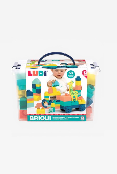 Baril BRIQUI 53 briques avec 1 véhicule et 2 animaux en mousse Ludi 1
