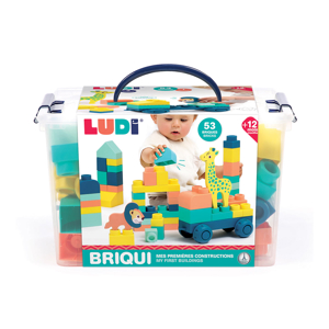 Baril BRIQUI 53 briques avec 1 véhicule et 2 animaux en mousse Ludi 1