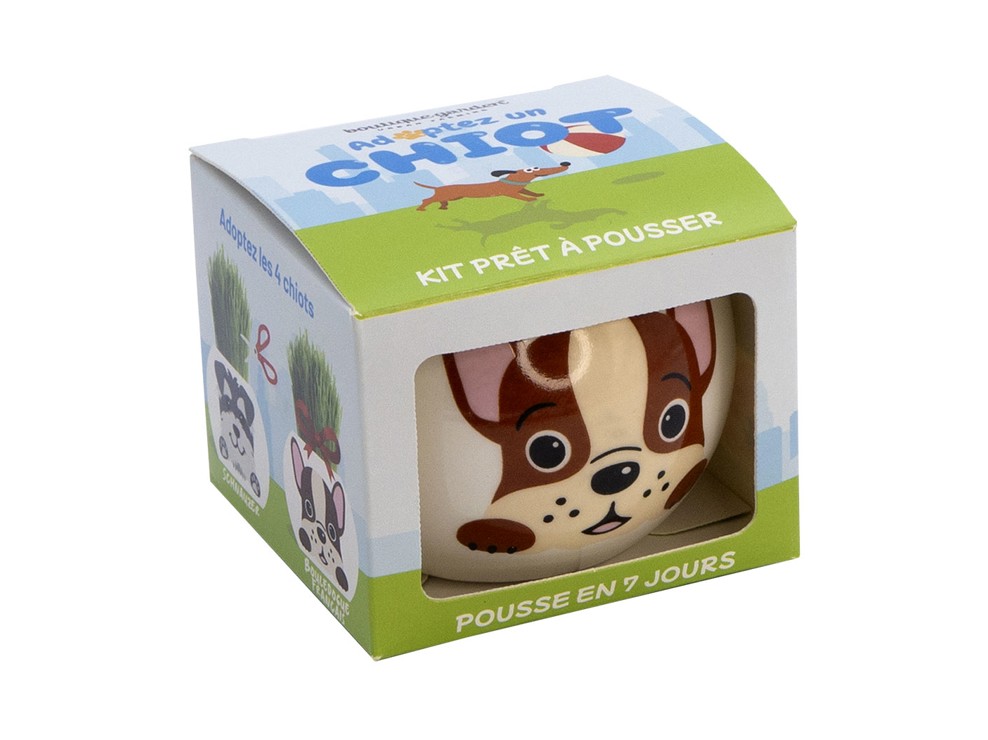 Ontluikende kop om te groeien Grappige hondenpotten 1