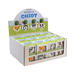 Tête en herbe à pousser Drôle de pots chiens