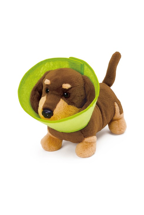 Kit du Petit Vétérinaire Hape