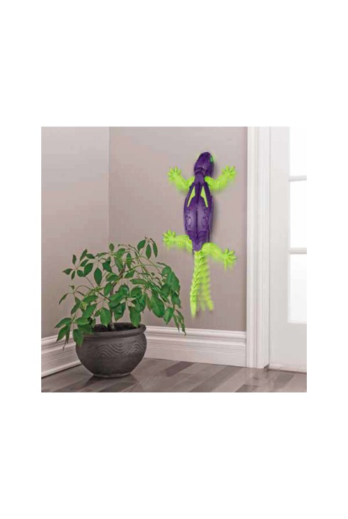 Gecko radio commandé