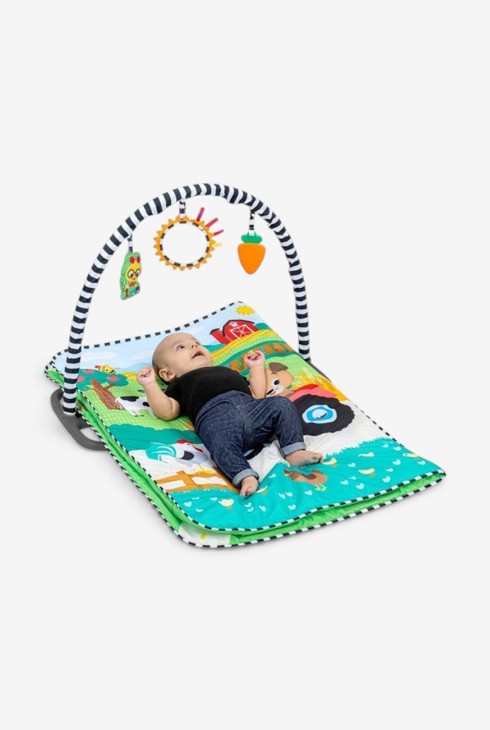 Tapis d'éveil évolutif 4 en 1 Busy Barnyard 2