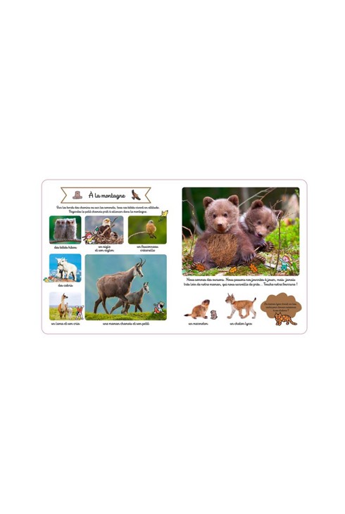 Livre Le grand imagier des bébés animaux à toucher