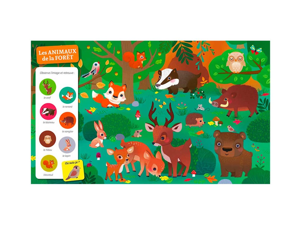 Livre Cherche et trouve des tout-petits, Chez les animaux 2