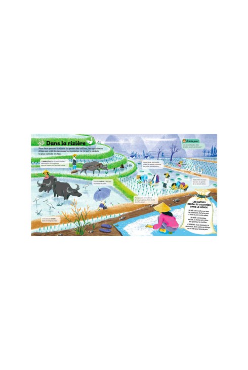 Livre Mon premier atlas Nathan