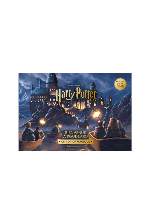 Livre Harry Potter, Bienvenue à Poudlard, pop-up magique 1