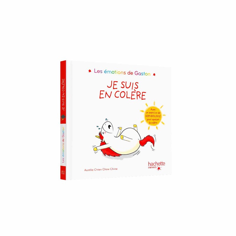 Hachette Jeunesse - Coffret La petite bibliothèque de Gaston 2