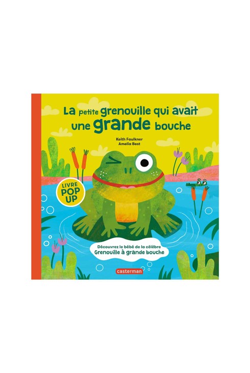 Livre la petite grenouille qui avait une grande bouche 1
