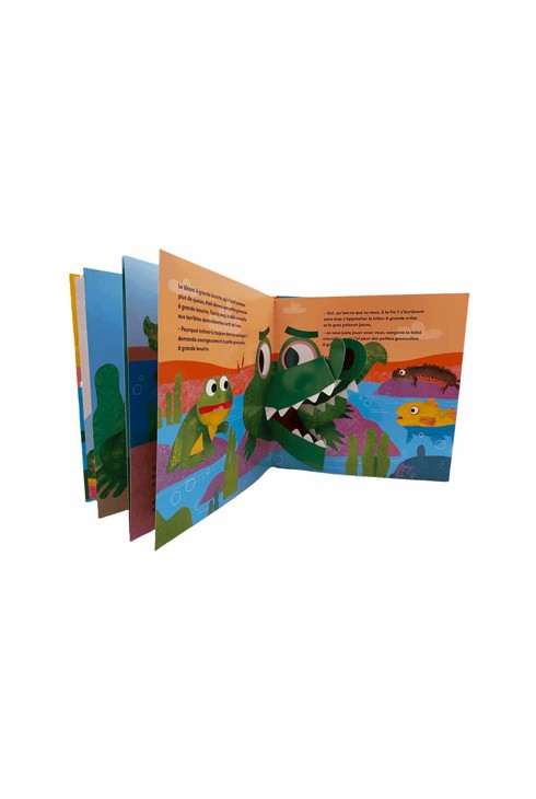 Livre la petite grenouille qui avait une grande bouche