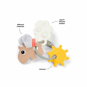 Hochet anneau multi activités