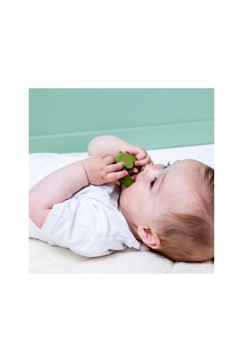 Hochet de dentition réfrigérant Dino vert