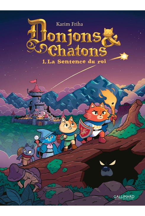 Livre BD Donjons et Chatons 1 1