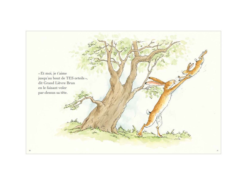 Livre Devine combien je t'aime - L'école des loisirs 2