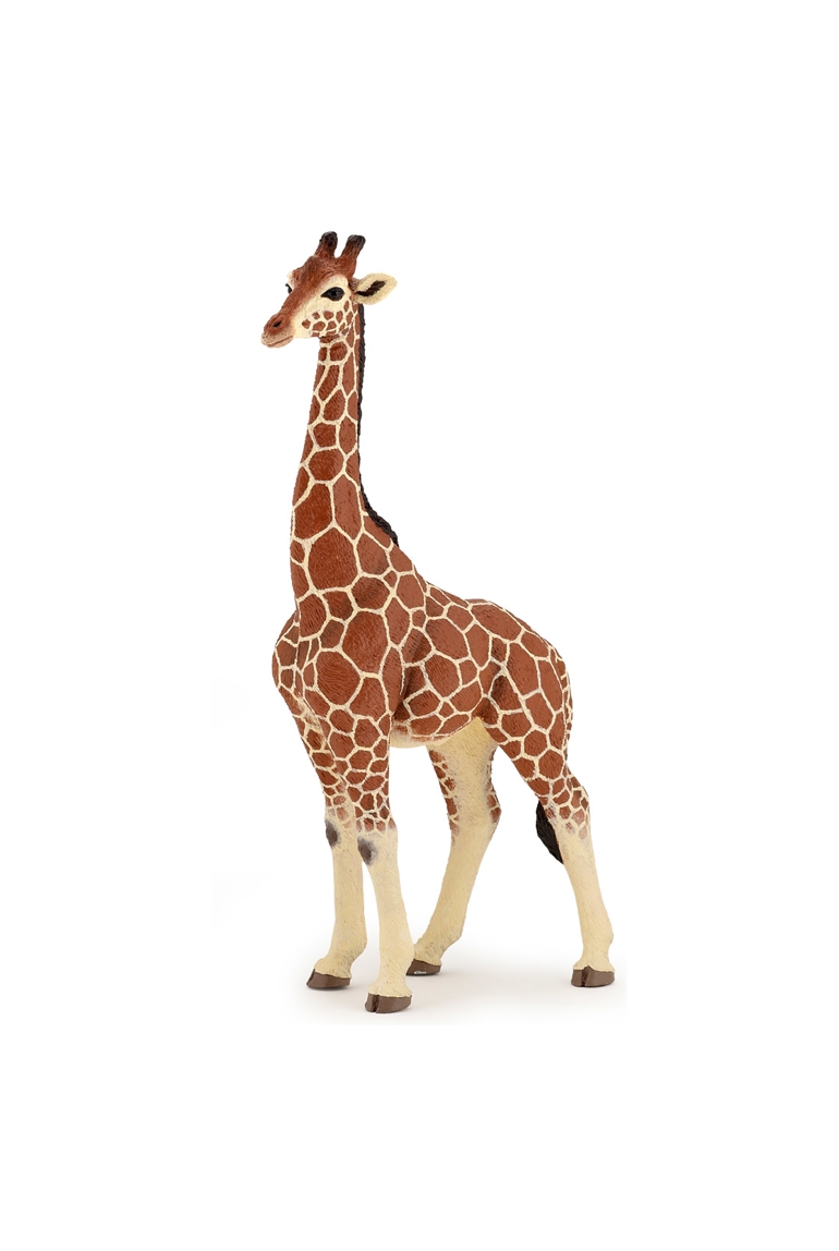 Figurine Girafe mâle Papo 1
