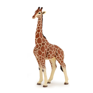 Figurine Girafe mâle Papo 1