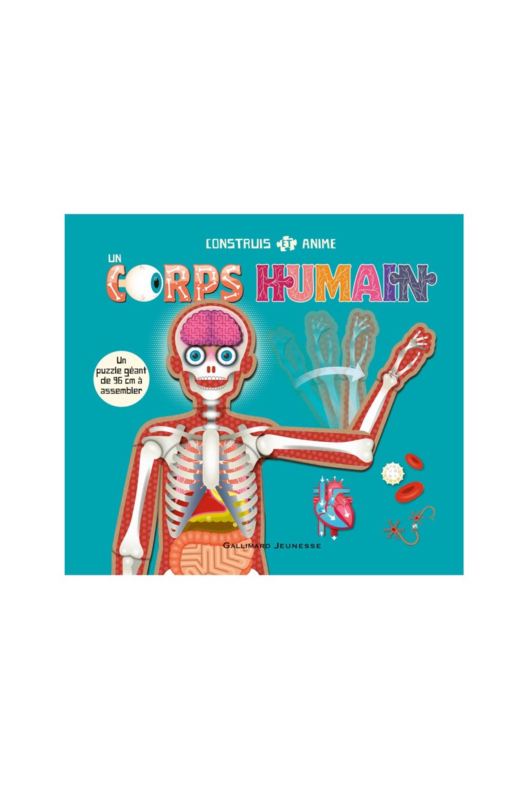 Livre Construis et anime un corps humain - Gallimard Jeunesse 1