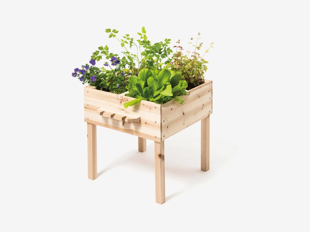 Carré potager en bois Oxybul 1