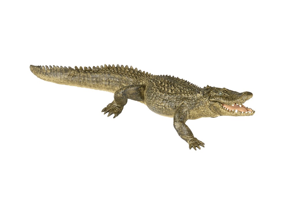 Papo Alligator-beeldje 1