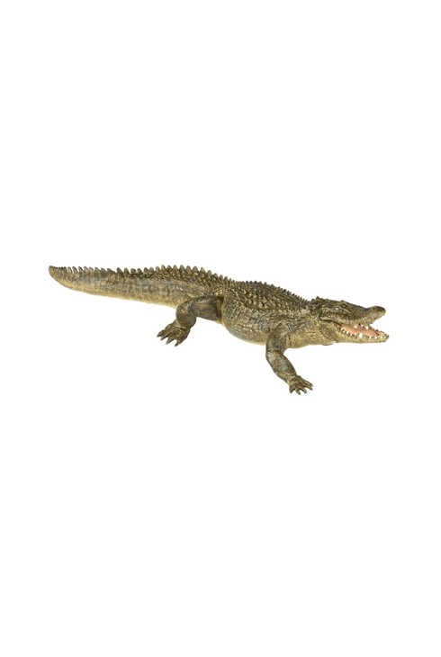Figurine Alligator Papo 1