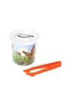 Aspirateur d'insectes Oxybul 4