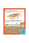 Livre La petite encyclopédie des pourquoi ? - Gallimard Jeunesse 5